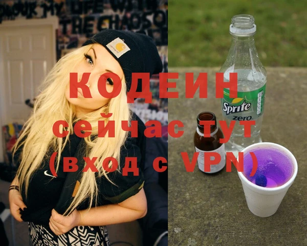хмурый Абаза