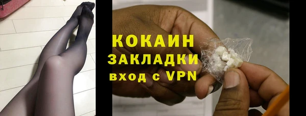 хмурый Абаза