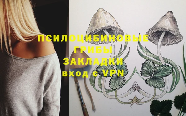 мдпв Алзамай