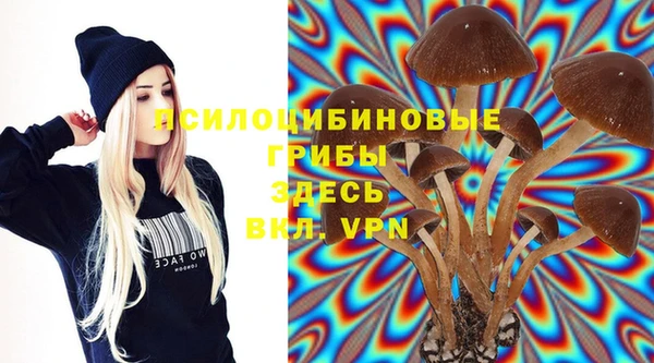 хмурый Абаза