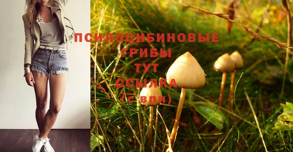 гашик Переславль-Залесский