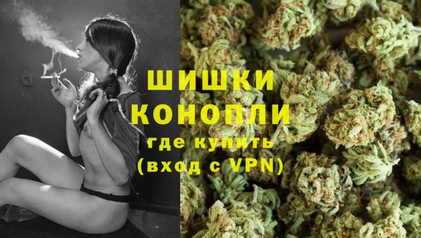 хмурый Абаза